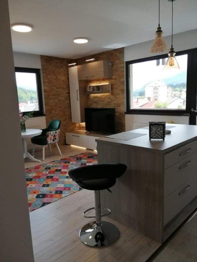 Belcara Apartment Buşteni エクステリア 写真