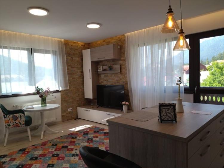 Belcara Apartment Buşteni エクステリア 写真