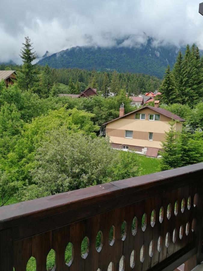 Belcara Apartment Buşteni エクステリア 写真
