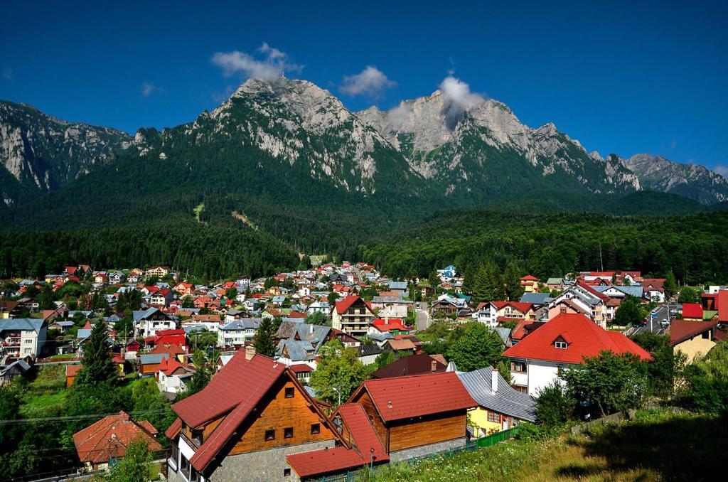 Belcara Apartment Buşteni エクステリア 写真